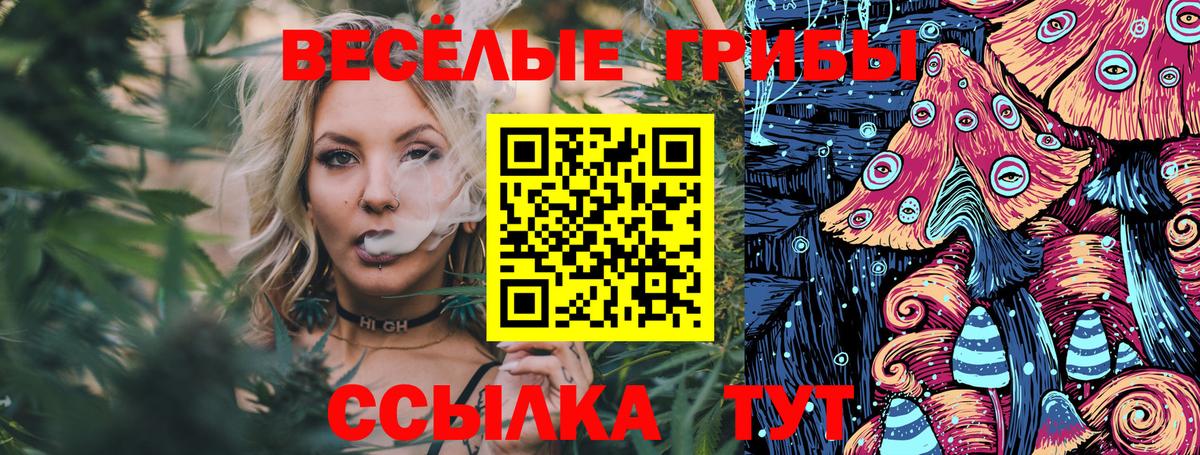 Галлюциногенные грибы MAGIC MUSHROOMS Черкесск